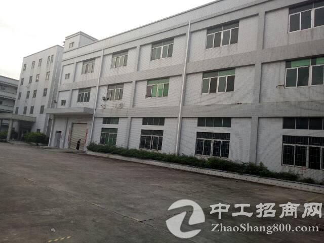 西乡固戍招聘动态更新与人才市场分析概览