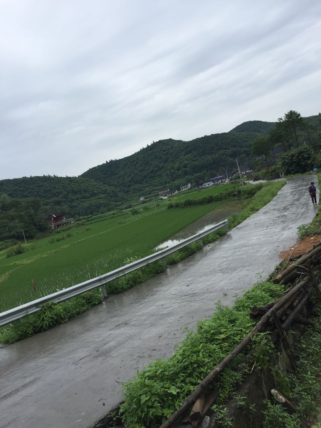 田河村委会天气预报更新通知