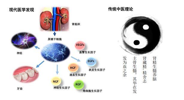 罗湖区卫生健康局最新招聘概览