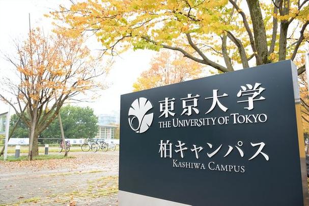 日本大学最新排名概览