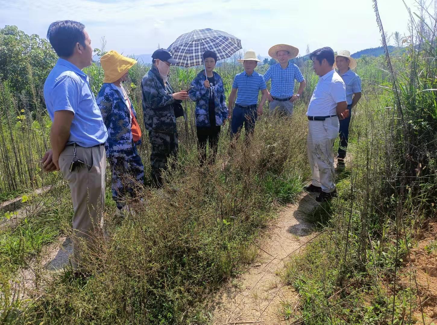 九江市林业局绿色生态建设项目的未来展望与步伐