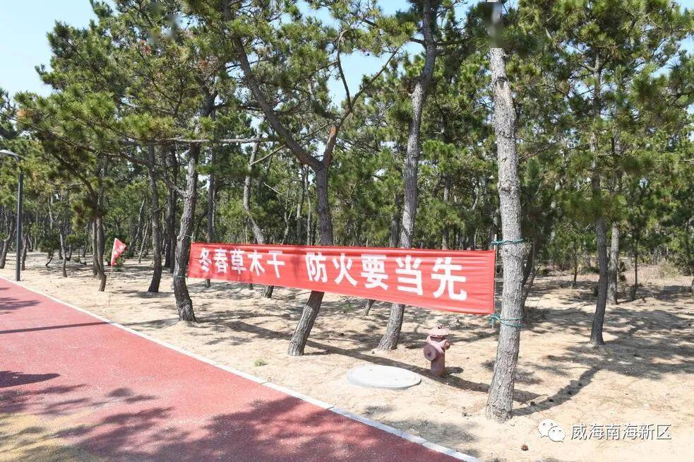 松林林场最新动态报道