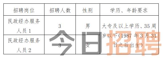 南阳市地方税务局最新招聘启事概览